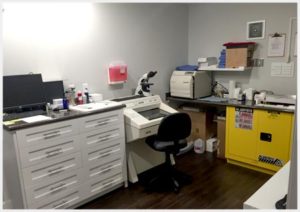 Sun Dermatology's On-site Laboratory